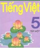 Giáo án Tiếng Việt 5