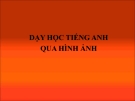 Dạy học tiếng Anh qua hình ảnh - My favorite animal