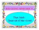 Bài giảng Sinh học 8 bài 5: Thực hành quan sát tế bào và mô