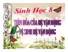 Bài giảng Sinh học 8 bài 11: Tiến hóa của hệ vận động. Vệ sinh hệ vận động