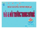 Bài giảng Sinh học 8 bài 13: Máu và môi trường trong cơ thể