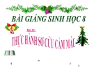 Bài giảng Sinh học 8 bài 19: Thực hành Sơ cứu cầm máu