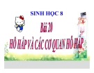 Bài giảng Sinh học 8 bài 20: Hô hấp và các cơ quan hô hấp