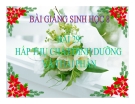 Bài giảng Sinh học 8 bài 29: Hấp thụ chất dinh dưỡng và thải phân