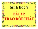 Bài giảng Sinh học 8 bài 31: Trao đổi chất