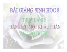 Bài giảng Sinh học 8 bài 37: Thực hành phân tích một khẩu phần cho trước