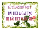 Bài giảng Sinh học 8 bài 38: Bài tiết và cấu tạo hệ bài tiết nước tiểu