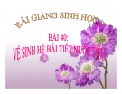 Bài giảng Sinh học 8 bài 40: Vệ sinh hệ bài tiết nước tiểu