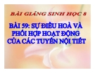 Bài giảng Sinh học 8 bài 59: Sự điều hòa và phối hợp hoạt động của các tuyến nội tiết