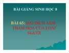 Bài giảng Sinh học 8 bài 65: Đại dịch AIDS thảm họa của loại người