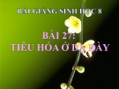 Bài giảng Sinh học 8 bài 27: Tiêu hóa ở dạ dày