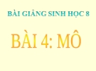 Bài giảng Sinh học 8 bài 4: Mô