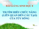 Bài giảng Sinh học 8 bài 44: Thực hành - Tìm hiểu chức năng (liên quan đến cấu tạo) của tủy sống