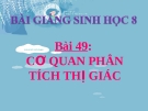 Bài giảng Sinh học 8 bài 49: Cơ quan phân tích thị giác