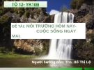 Tiểu luận: Môi trường hôm nay cuộc sống ngày mai