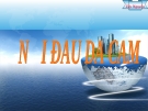 Tiểu luận: Nỗi đau da cam