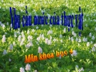 Bài 58: Nhu cầu nước của thực  vật - Bài giảng điện tử Khoa học 4 - L.K.Chi