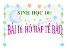 Slide bài Hô hấp tế bào - Sinh học 10 - GV.T.V.Phúc