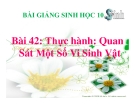 Slide bài Thực hành quan sát một số vi sinh vật - Sinh học 10 - GV.T.V.Phúc