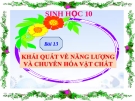 Bài giảng Sinh học 10 bài 13: Khái quát về năng lượng và chuyển hóa vật chất