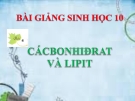 Bài giảng Sinh học 10 bài 4: Cacbonhiđrat va lipit