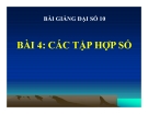 Bài giảng Các tập hợp số - Đại số 10 - GV. Trần Thiên