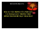 Bài giảng Địa lý 6 bài 12: Tác động của nội lực và ngoại lực trong việc hình thành địa hình bề mặt Trái Đất