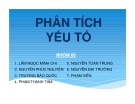 Tiểu luận: Phân tích yếu tố