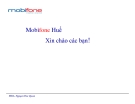 Tiểu luận: Chiến lược kinh doanh của Mobifone Huế