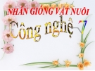 Bài giảng Công nghệ 7 bài 34: Nhân giống vật nuôi