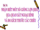 Bài giảng Công nghệ 7 bài 36: Nhận biết một số giống lợn qua quan sát ngoại hình và đo kích thước các chiều