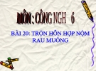 Bài giảng Công nghệ 6 bài 20: Thực hành - Trộn hỗn hợp nộm rau muống