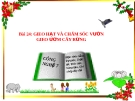 Bài giảng Công nghệ 7 bài 24: Gieo hạt và chăm sóc vườn gieo ươm cây rừng