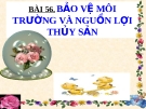 Bài giảng Công nghệ 7 bài 56: Bảo vệ môi trường và nguồn lợi thủy sản