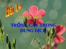 Bài giảng Công nghệ 10 bài 14: Thực hành - Trồng cây trong dung dịch