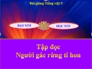 Bài giảng Tập đọc: Người gác rừng tí hon - Tiếng việt 5 - GV.N.T.Hồng