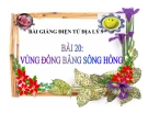 Bài giảng Địa lý 9 bài 20: Vùng Đồng bằng sông Hồng