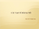 Bài giảng Cấu tạo tế bào và mô - Ths.BS.Võ Thành Liêm