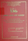 Khóa luận tốt nghiệp: Vai trò của hoạt động nhượng quyền thương mại đối với việc thâm nhập thị trường quốc tế