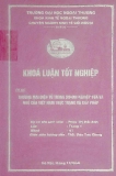 Khóa luận tốt nghiệp: Thương mại điện tử trong doanh nghiệp vừa và nhỏ của Việt Nam thực trạng và giải pháp