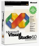 Visual  Basic  6.0