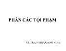 Bài giảng Các tội phạm - TS. Trần Thị Quang Vinh