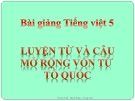 Bài giảng Tiếng việt 5 tuần 2 bài: Mở rộng vốn từ Tổ quốc