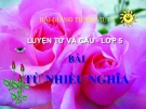 Bài Luyện từ và câu: Từ nhiều nghĩa - Bài giảng điện tử Tiếng việt 5 - GV.Lê T.Hoà