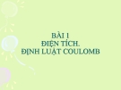 Bài 1:  Điện tích.Định luật Cu-lông - Bài giảng điện tử Vật lý 11 - T.Đ.Lý