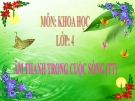 Bài giảng Âm thanh trong sự sống tt - Khoa học 4 - GV. N.T.Sỹ