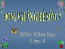 Bài giảng Động vật ăn gì để sống - Khoa học 4 - GV. N.T.Sỹ