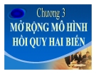 Bài giảng Kinh tế lượng: Chương 3