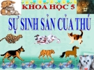 Bài giảng Sự sinh sản của thú - Khoa học 5 - GV. N.T.Sỹ