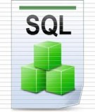 Ngôn ngữ truy vấn có cấu trúc (SQL)